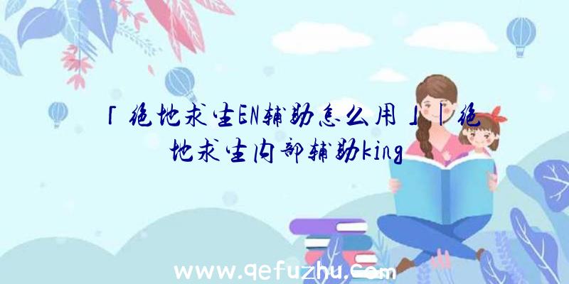 「绝地求生EN辅助怎么用」|绝地求生内部辅助king